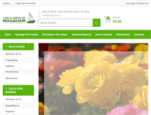 Tablet Screenshot of larsa.com.ar